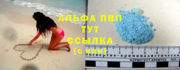 хмурый Абаза