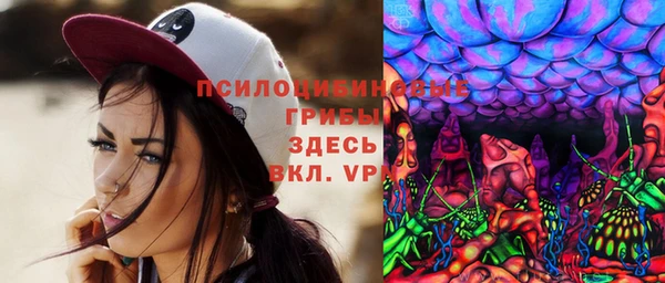 хмурый Абаза