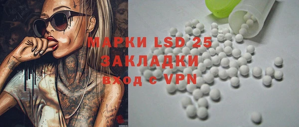 хмурый Абаза