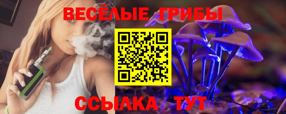 Галлюциногенные грибы Psilocybine cubensis  Псилоцибиновые грибы MAGIC MUSHROOMS  Вход с VPN  Новоалтайск 