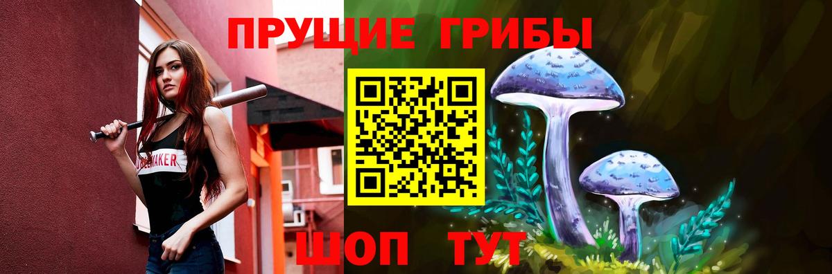 Псилоцибиновые грибы GOLDEN TEACHER Новоалтайск